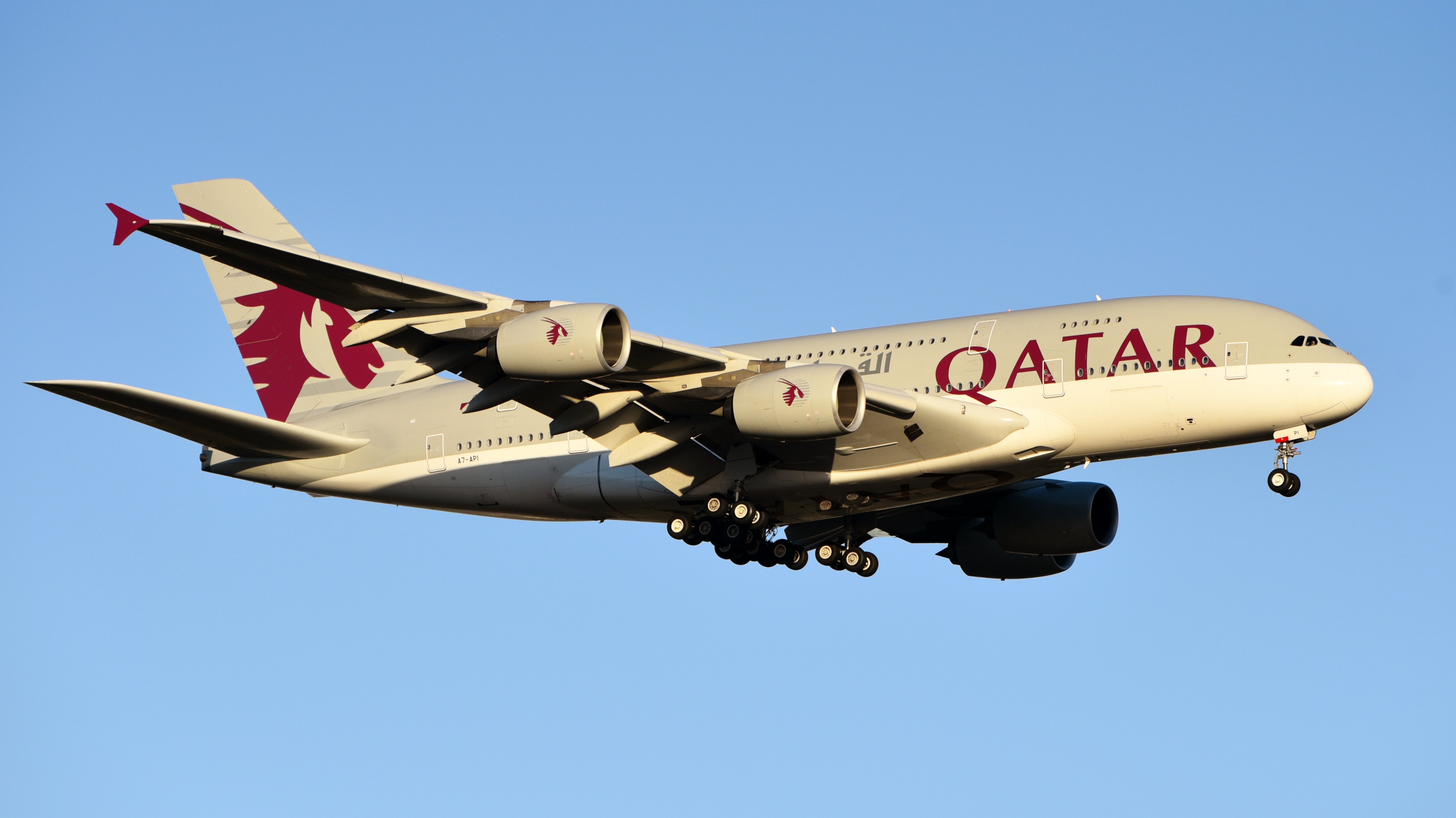  Qatar Airways Vuelos directos a Osaka, Trade Portal y Servicios Auxiliares